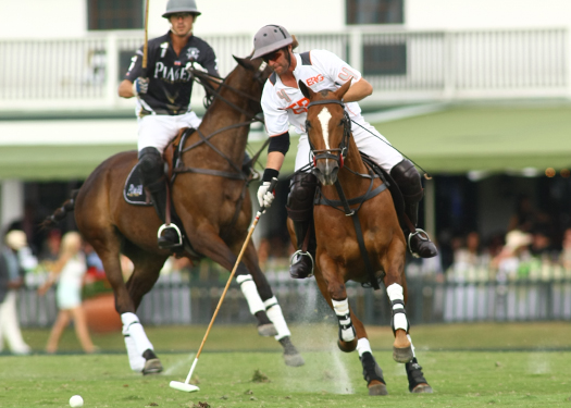 polo magazine photos alex pacheco polo teams erg piaget 6