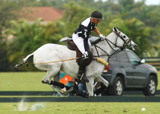 Polo tournament polo usa polo top polo match mt brilliant zacaravs 6