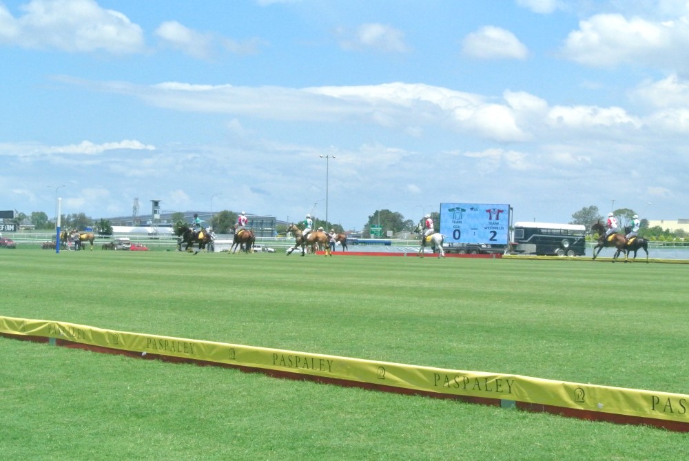 DSC 7497
