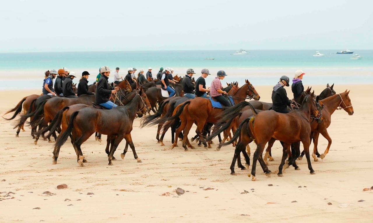 Media Call: Horses Arrive for Airnorth Cable Beach Polo (Wed 23 May, 9am)